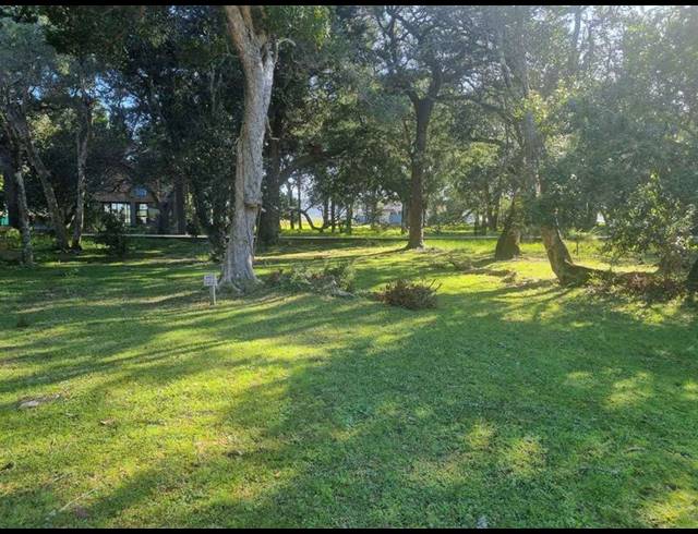 LAND FOR SALE IN BRENTON ON LAKE